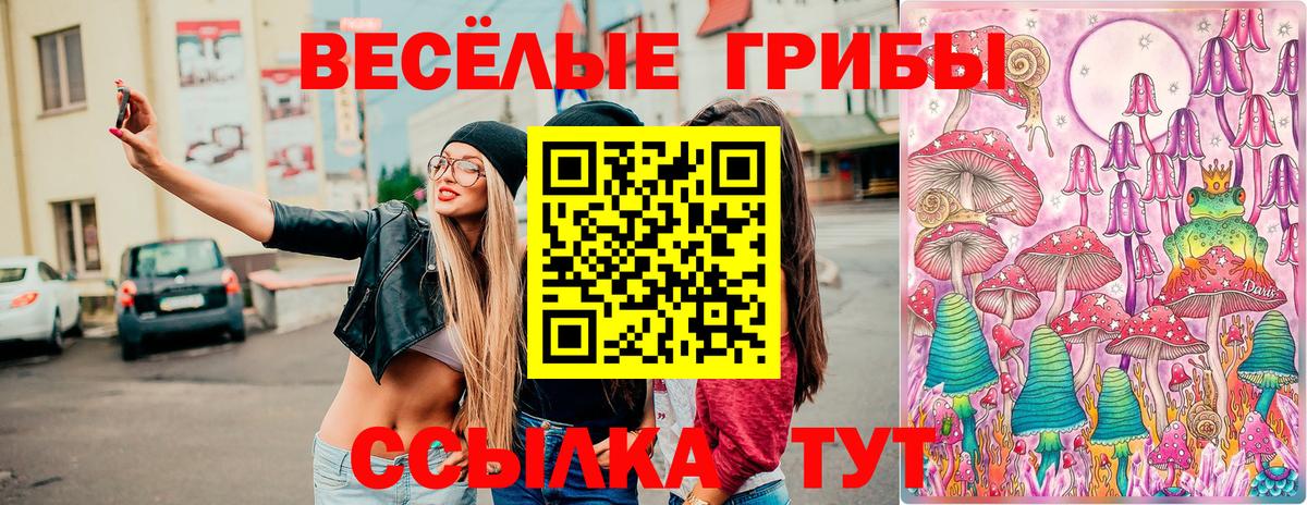 хочу   Вход с VPN  Новоалтайск  Галлюциногенные грибы мицелий 