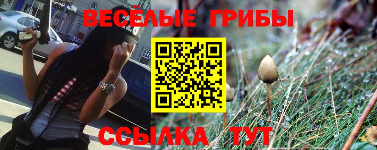 Галлюциногенные грибы Magic Shrooms Новоалтайск